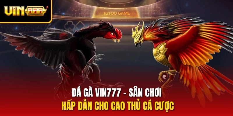 Đá gà vin777