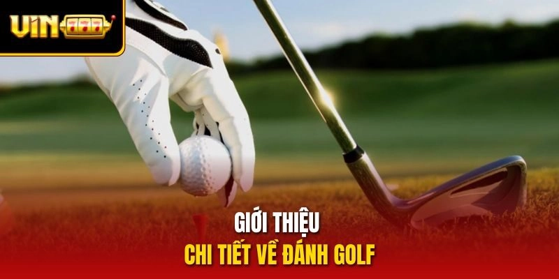 Giới thiệu chi tiết về đánh golf