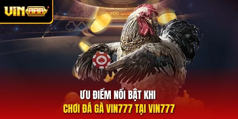Ưu điểm nổi bật khi chơi Đá gà vin777 tại vin777