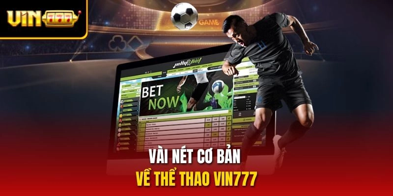 Vài nét cơ bản về thể thao Vin777